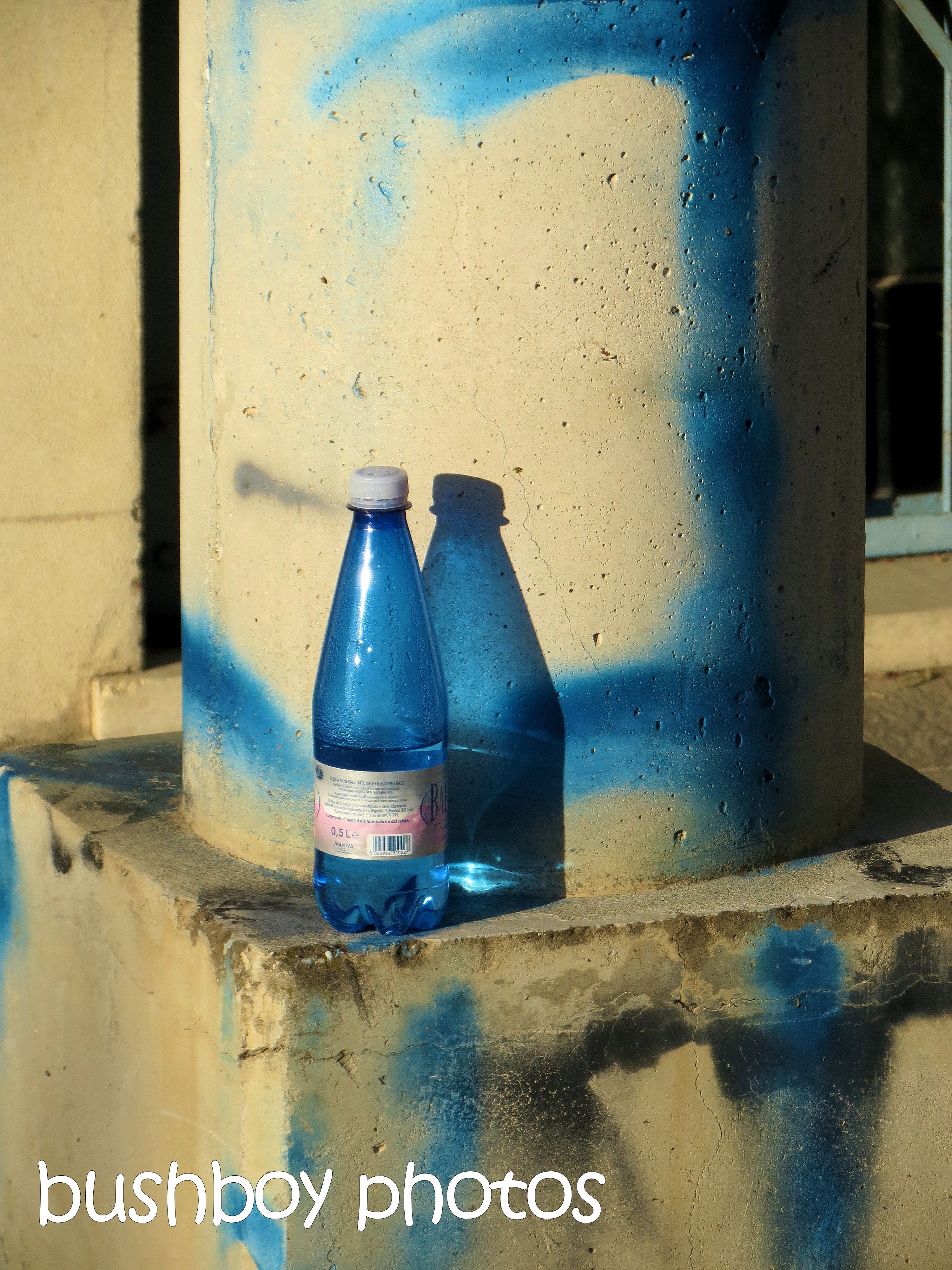 blue bottle_bologna_named_oct 2015