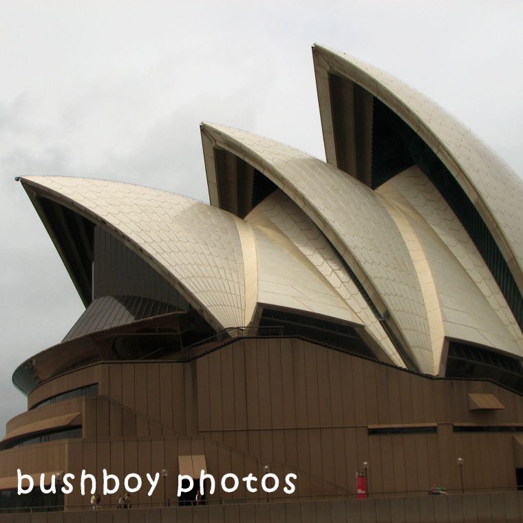 180625_square rooves_sydney opera house