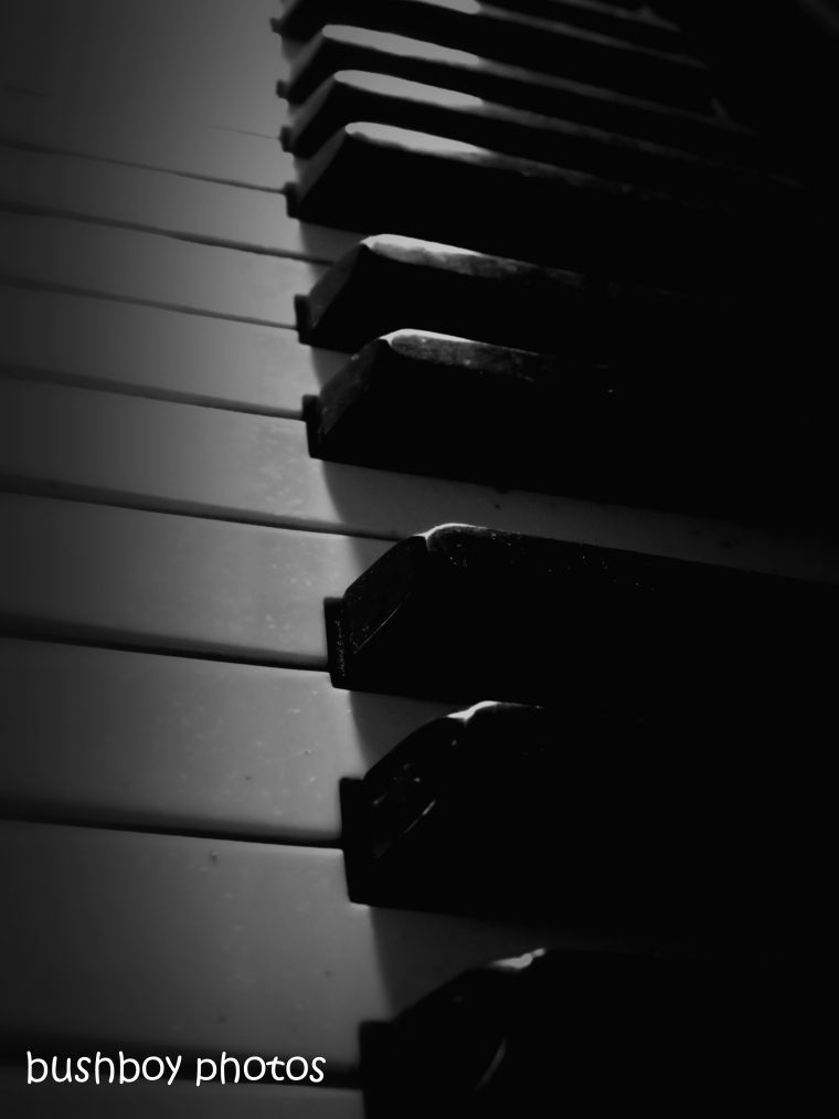190111_blog_challenge_blackandwhite_music_related_piano_keys2